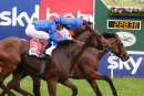 Race 3 - Old Persian (4)009