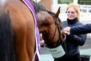Race 3 - Ouzo (12)