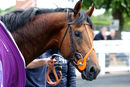Race 3 - Ouzo (13)