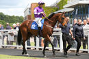 Race 3 - Ouzo (2)