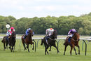 Race 3 - Ouzo (3)