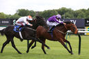 Race 3 - Ouzo (6)