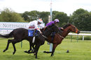 Race 3 - Ouzo (8)