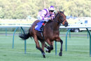 Race 3 - Perfect Clarity (5)