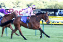 Race 3 - Perfect Clarity (8)