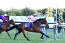 Race 3 - Perfect Clarity (9)