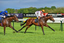 Race 3 - Pondus (13)