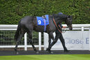 Race 3 - Pondus (2)