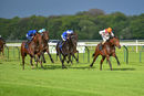Race 3 - Pondus (4)