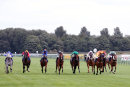 Race 3 - Poppy Jag (3)