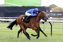 Race 3 - Ranchero (11)