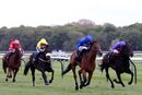 Race 3 - Ranchero (6)