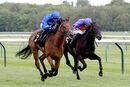 Race 3 - Ranchero (8)