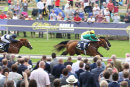 Race 3 - Ravens Lady (2)