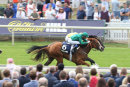 Race 3 - Ravens Lady (4)