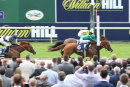 York Races - July Meet (13 July 18)