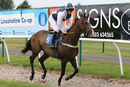 Race 3 - Rays The Money (2)