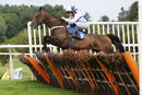 Race 3 - Rays The Money (3)