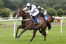 Race 3 - Rays The Money (7)