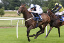 Race 3 - Rays The Money (8)