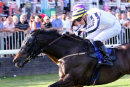 Race 3 - Related (11)