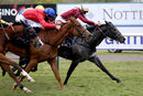 Race 3 - Roman Mist (10)