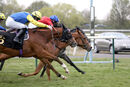 Race 3 - Roman Mist (13)
