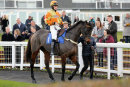 Race 3 - Rons Dream (2)