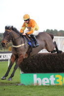 Race 3 - Rons Dream (5)