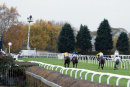 Race 3 - Rons Dream (7)