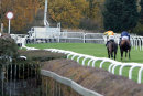 Race 3 - Rons Dream (8)