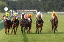 Race 3 - Rose Berry (2)