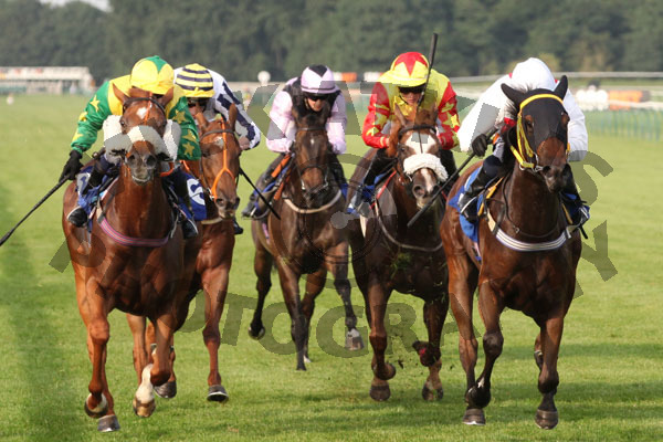 Race 3 - Rose Berry (5)