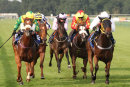 Race 3 - Rose Berry (5)
