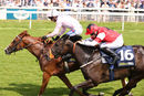Race 3 - Royal Intervention (6)