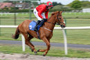 Race 3 - Safe Home (2)