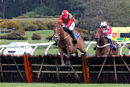 Race 3 - Safe Home (4)