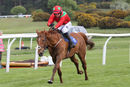 Race 3 - Safe Home (7)