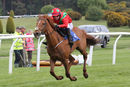 Race 3 - Safe Home (8)