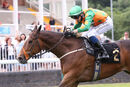 Race 3 - Saluti (15)