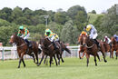 Race 3 - Saluti (8)