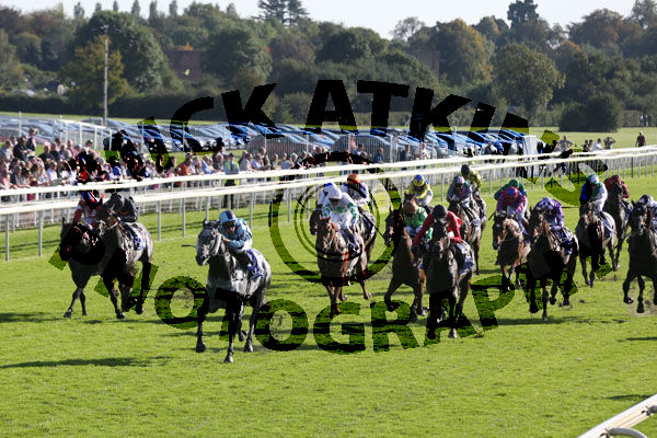 Race 3 - Shelir (2)