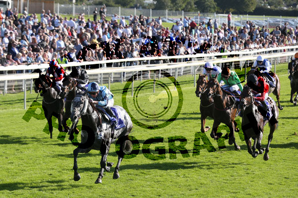 Race 3 - Shelir (3)