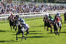 Race 3 - Shelir (3)