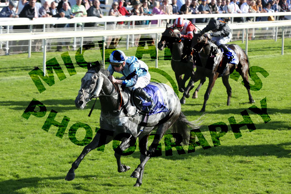 Race 3 - Shelir (4)