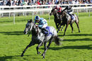Race 3 - Shelir (4)