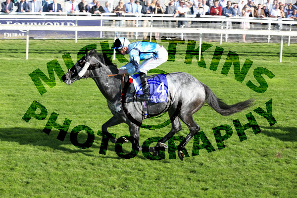 Race 3 - Shelir (6)