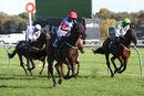 Race 3 - Shes A Unicorn (10)