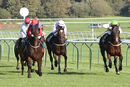 Race 3 - Shes A Unicorn (4)