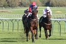 Race 3 - Shes A Unicorn (5)